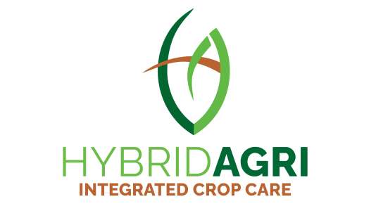  Logo Image